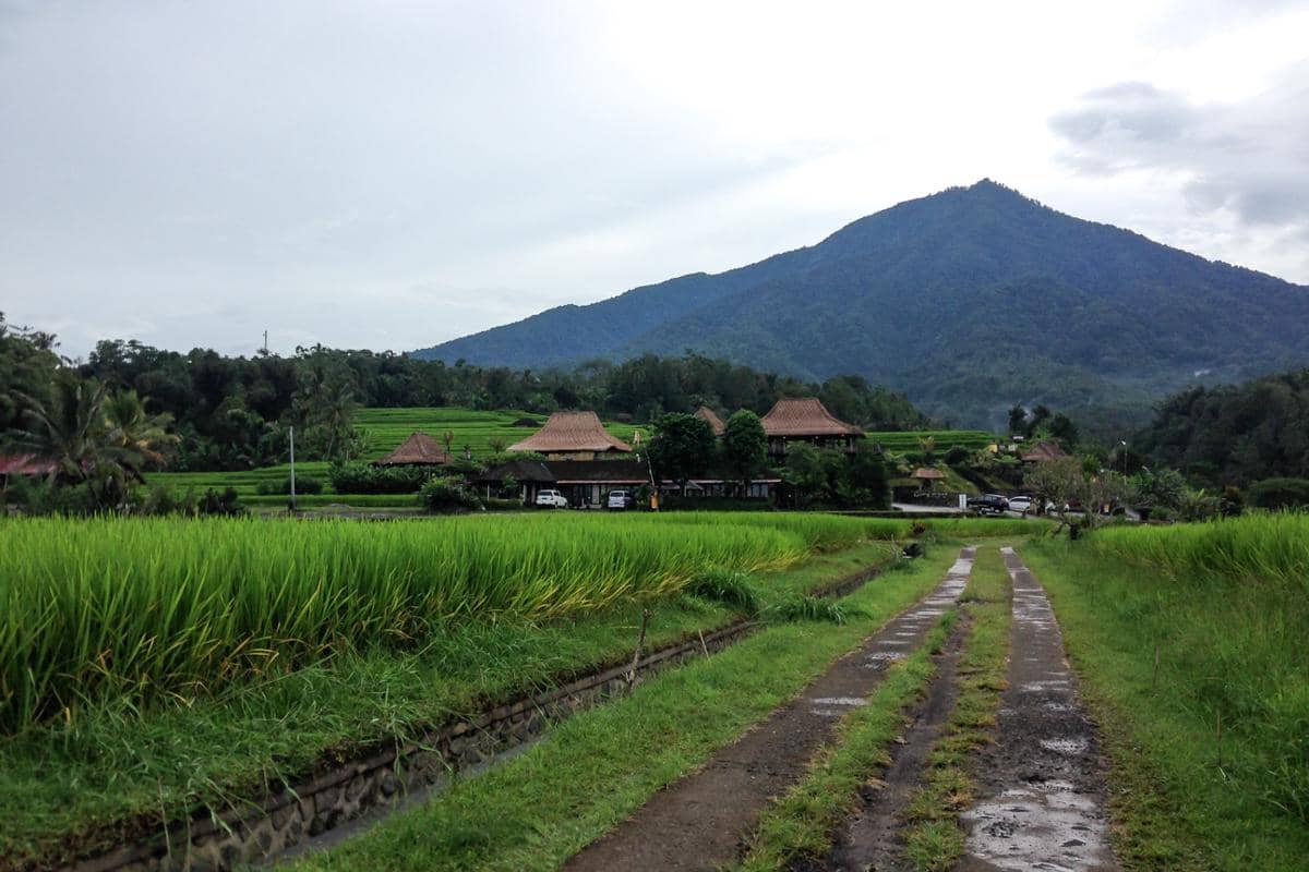 5 Wisata Alam Tabanan Selain Pantai