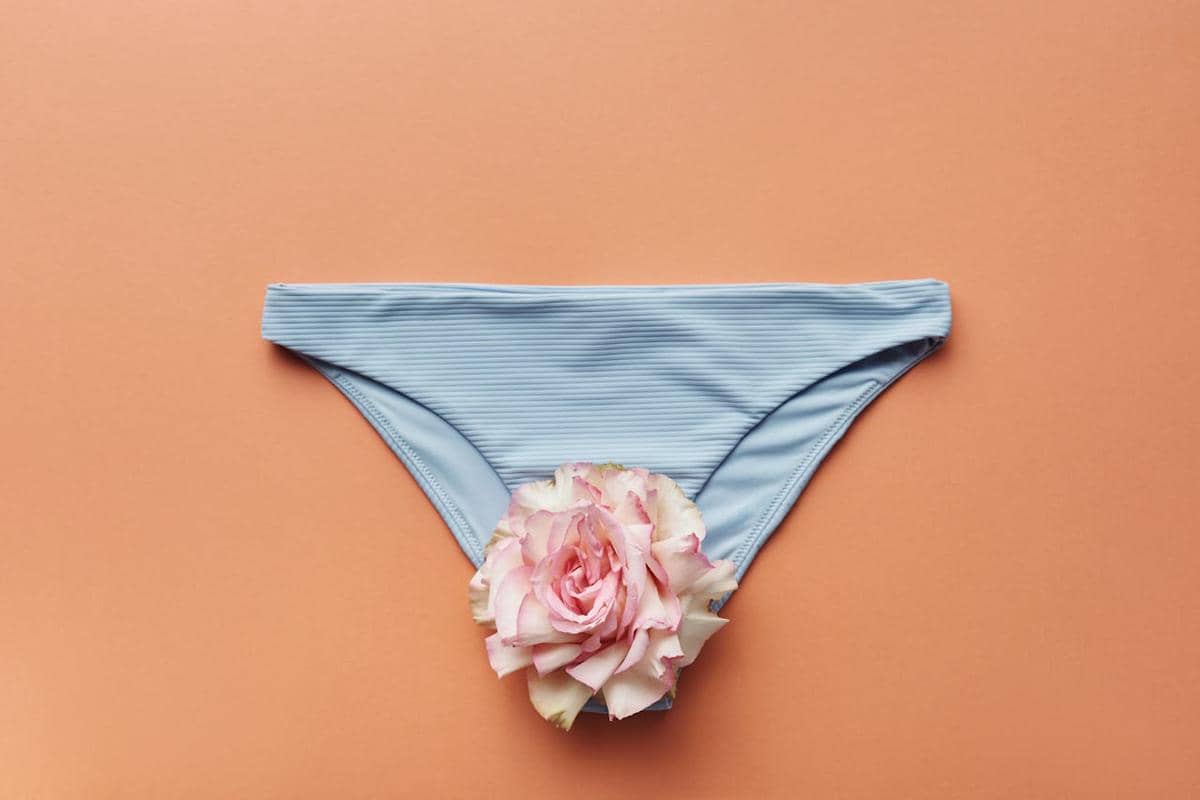 ilustrasi bikini 