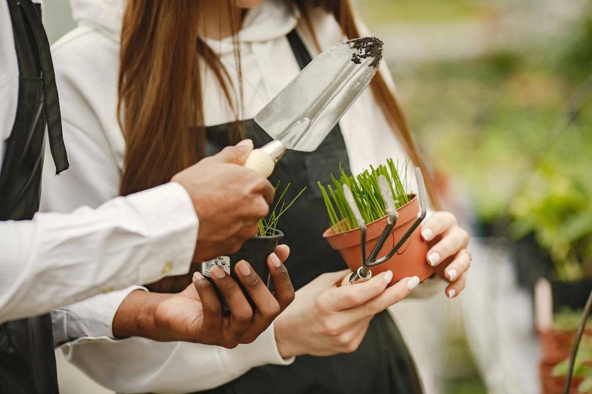 5 Cara Menghadapi Eco-Anxiety, Kecemasan akan Masa Depan Bumi