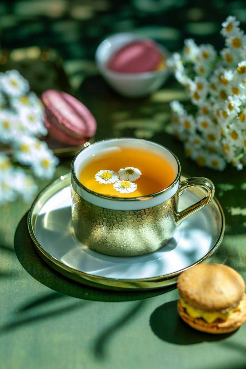 ilustrasi pure chamomile tea
