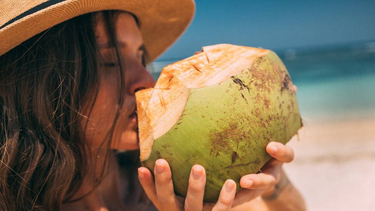 ilustrasi minum air kelapa 
