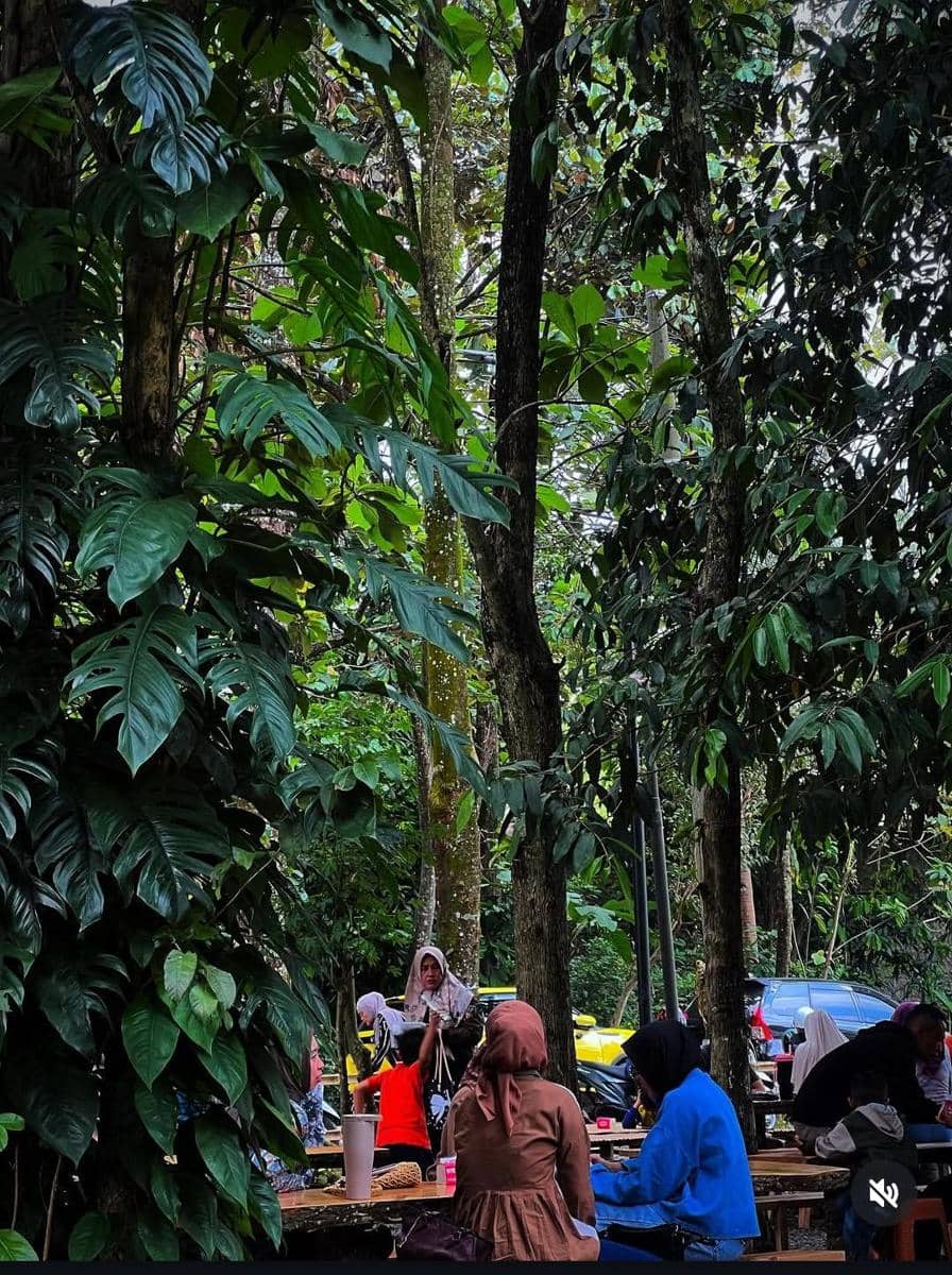 Pengunjung menikmati hidangan di Pawon Numani, tempat kuliner bernuansa alam dengan pepohonan rindang di Kota Metro.