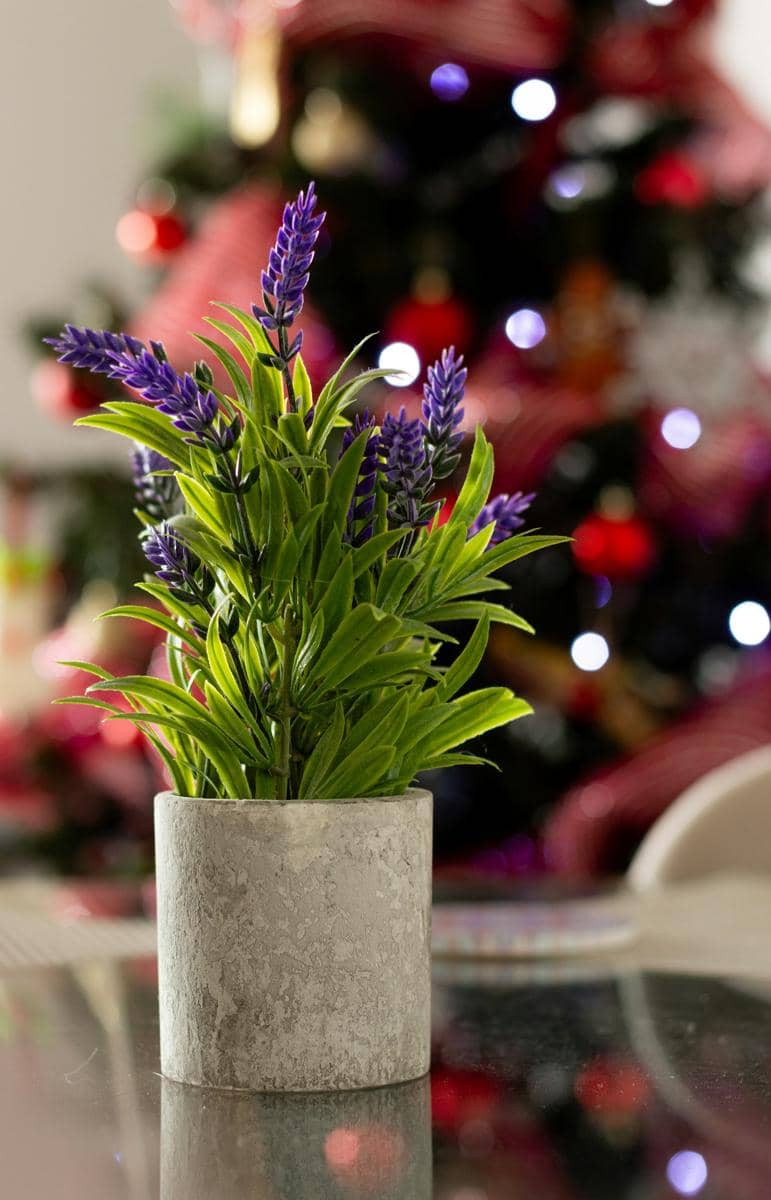 Ilustrasi lavender artificial plants (unsplash.com/Photo by Juan Vallejo)