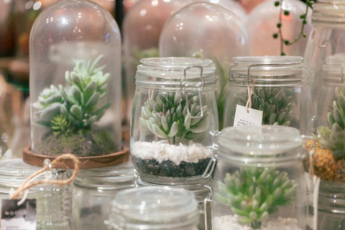 Ilustrasi artificial terrarium plants (unsplash.com/Photo by Wengang Zhai)