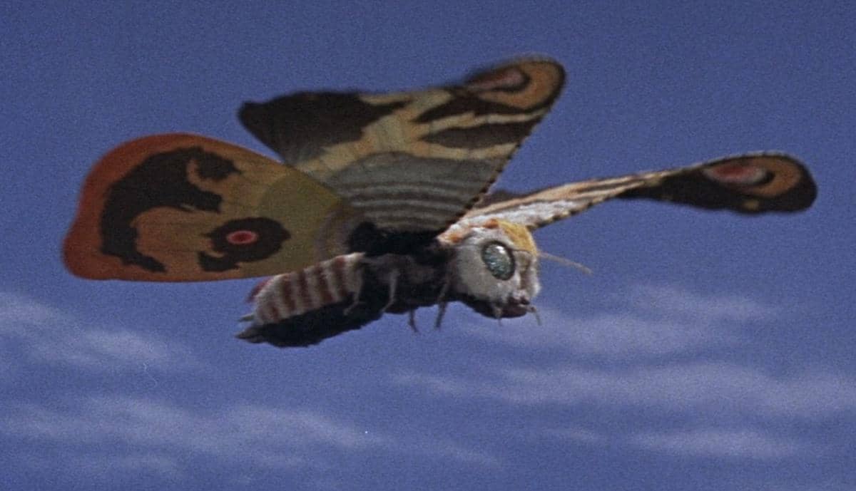 Kenapa Mothra, Teman Godzilla, Punya Hubungan Spesial dengan Indonesia