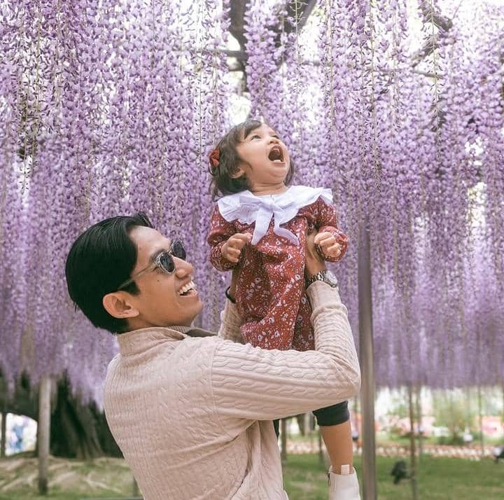 potret Sabrina Anggraini lihat musim bunga wisteria di Jepang