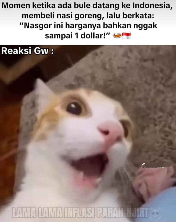meme dolar naik