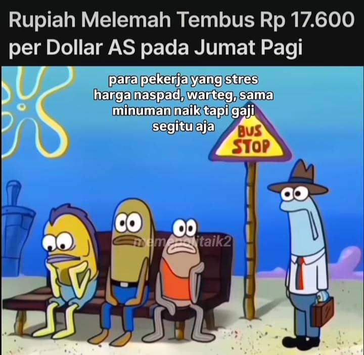 meme dolar naik