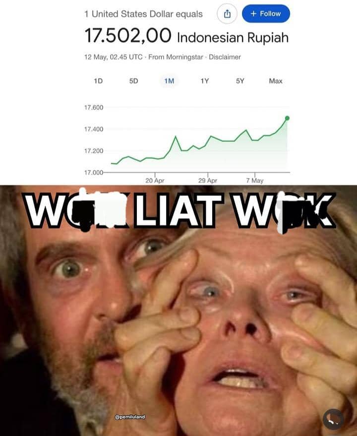 meme dolar naik