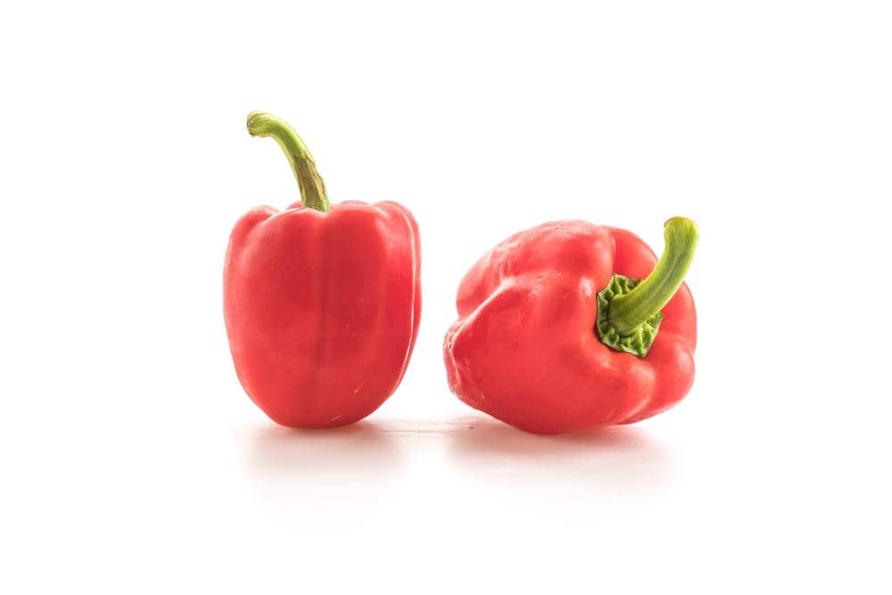 ilustrasi paprika merah