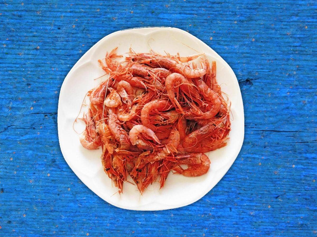 ilustrasi udang rawa
