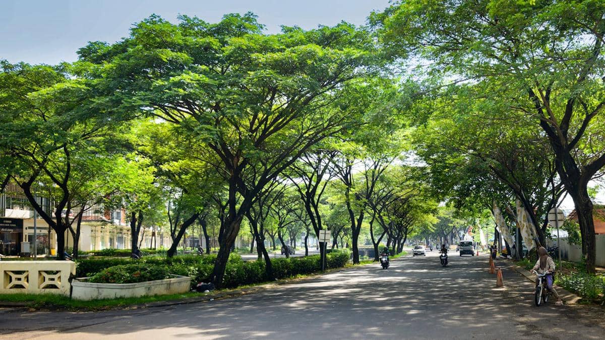 Ilustrasi hutan kota
