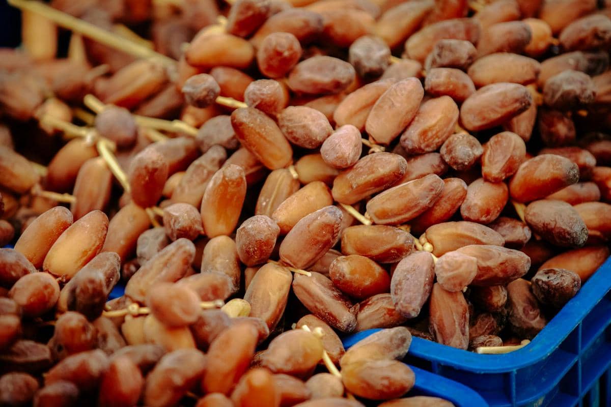 ilustrasi kurma