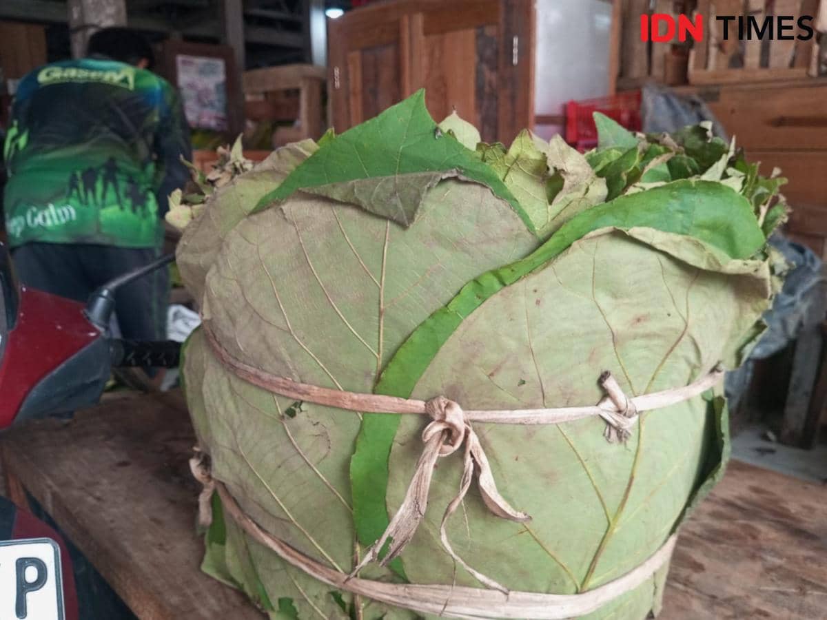 Daun Jati Tetap Lestari Jadi Pembungkus Tempe di Bantul 