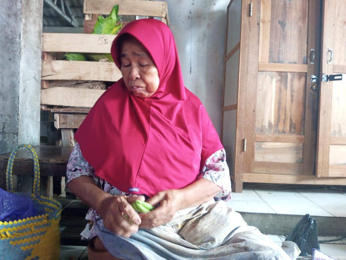 Daun jati yang dijual di Pasar Imogiri Bantul. (IDN Times/Daruwaskita)