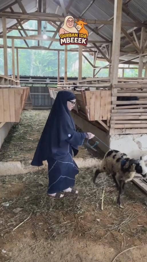 Seorang wanita berhijab hitam menarik seekor kambing di dalam kandang kayu terbuka dengan atap seng di area peternakan.