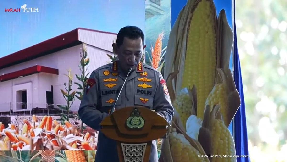 Kapolri Sebut Panen 1,23 Juta Ton Jagung, 100 Ton Diekspor ke Malaysia