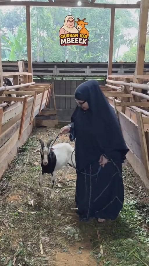 Seorang wanita berhijab hitam memegang kambing di kandang kayu dengan suasana hijau di luar, terdapat logo Qurban Ida Mbeeeek di atasnya.