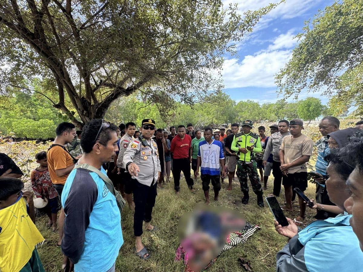 IMG_20260516_170913.jpg