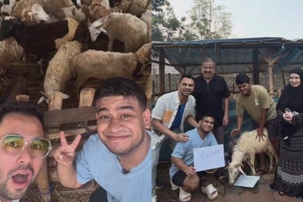 Ibu Fadil Jaidi Jualan Kambing Lagi Jelang Idul Adha 2026, Raffi Ahmad Borong 100