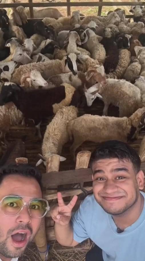 Dua pria berpose di depan kandang berisi banyak kambing kurban dengan ekspresi gembira di area peternakan.
