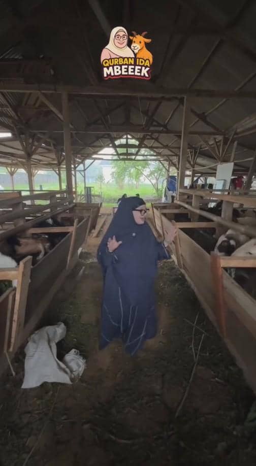 Seorang wanita berhijab panjang berdiri di antara kandang kambing di sebuah peternakan tertutup dengan suasana hijau di luar bangunan.