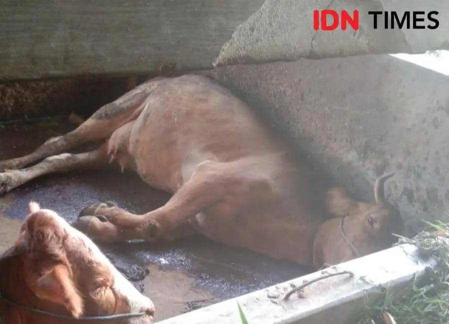 Foto hanya ilustrasi