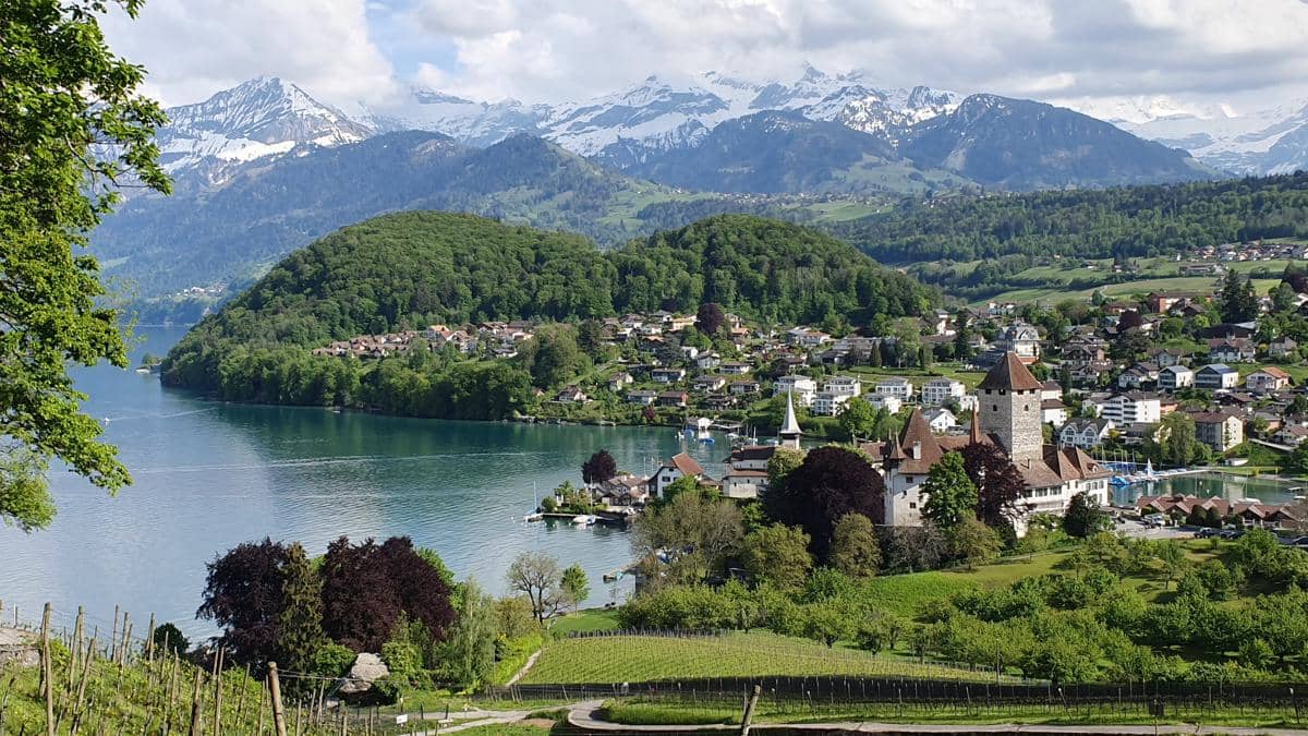 panorama Teluk Spiez dengan latar Pegunungan Alpen.