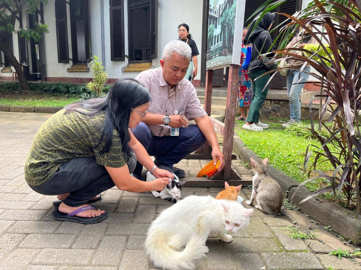 Pengelola Lawang Sewu Klaim Gak Pernah Buang Kucing ke Luar Gedung