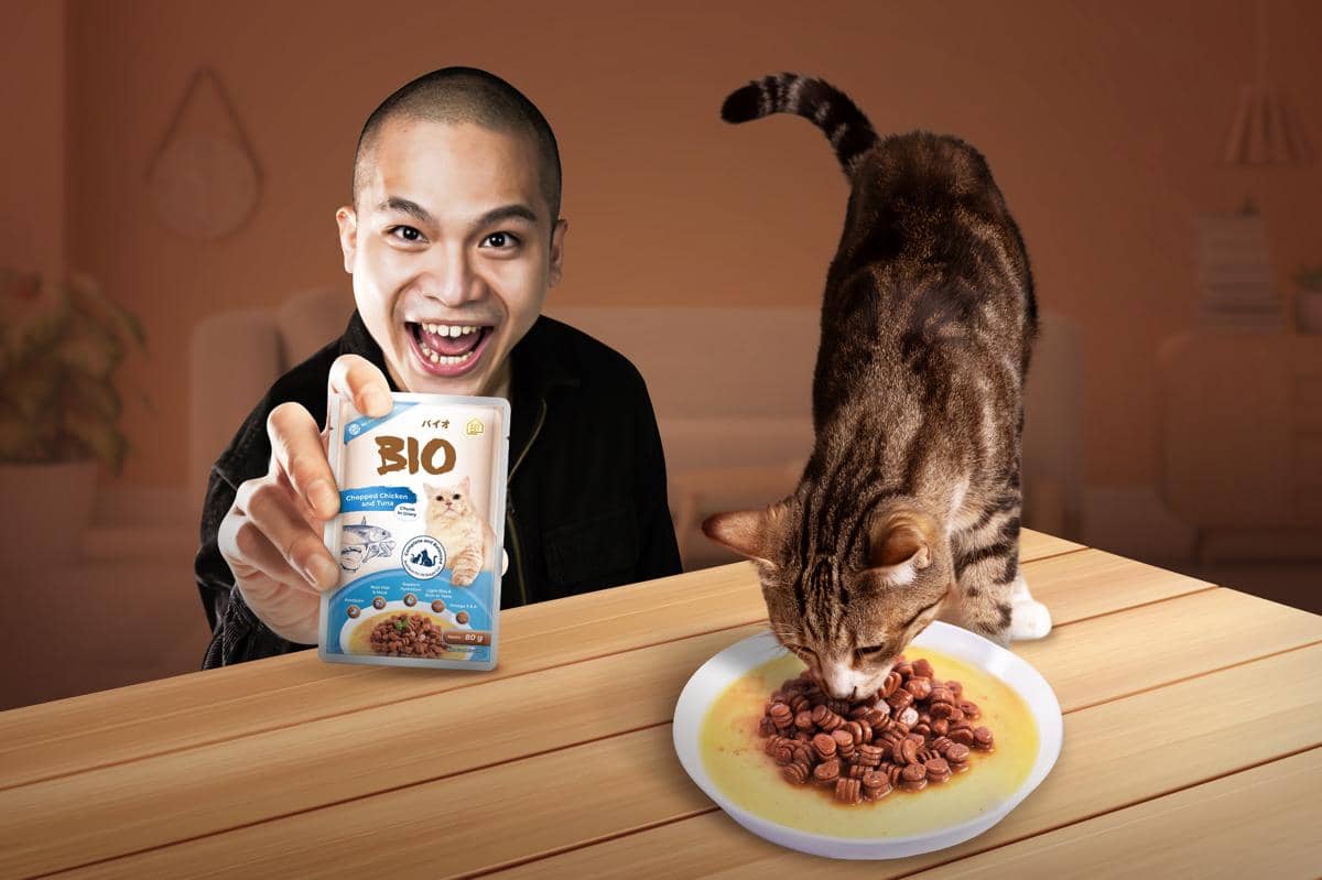 ilustrasi makanan kucing dari Bio Cat