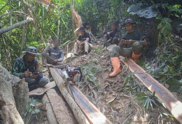 Dugaan pembalakan liar di dalam kawasan Taman Wisata Alam (TWA) Mangolo, Kabupaten Kolaka, Sulawesi Tenggara. Dok. Gakkum Kehutanan