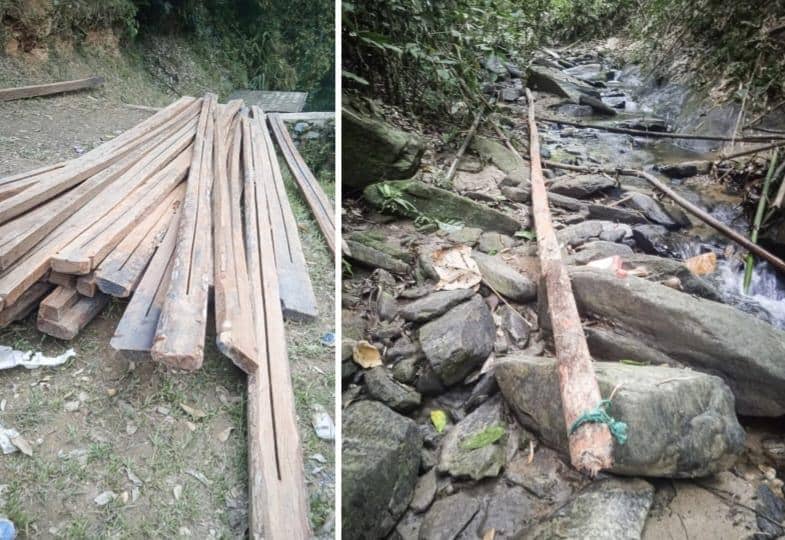 Dugaan pembalakan liar di dalam kawasan Taman Wisata Alam (TWA) Mangolo, Kabupaten Kolaka, Sulawesi Tenggara. Dok. Gakkum Kehutanan