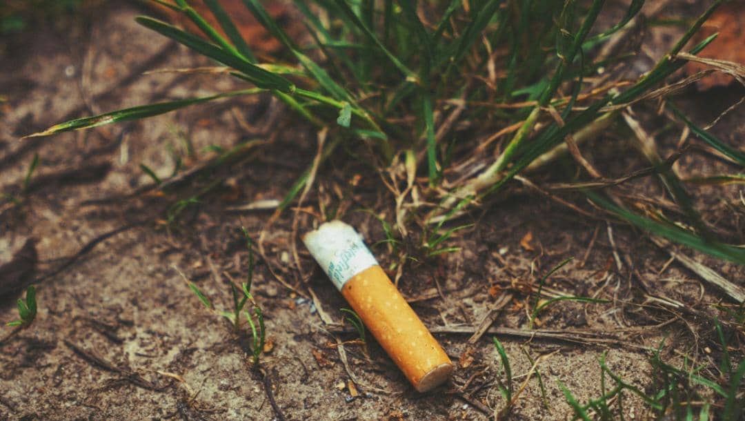 puntung rokok (pexels.com/nn.TON.nn)