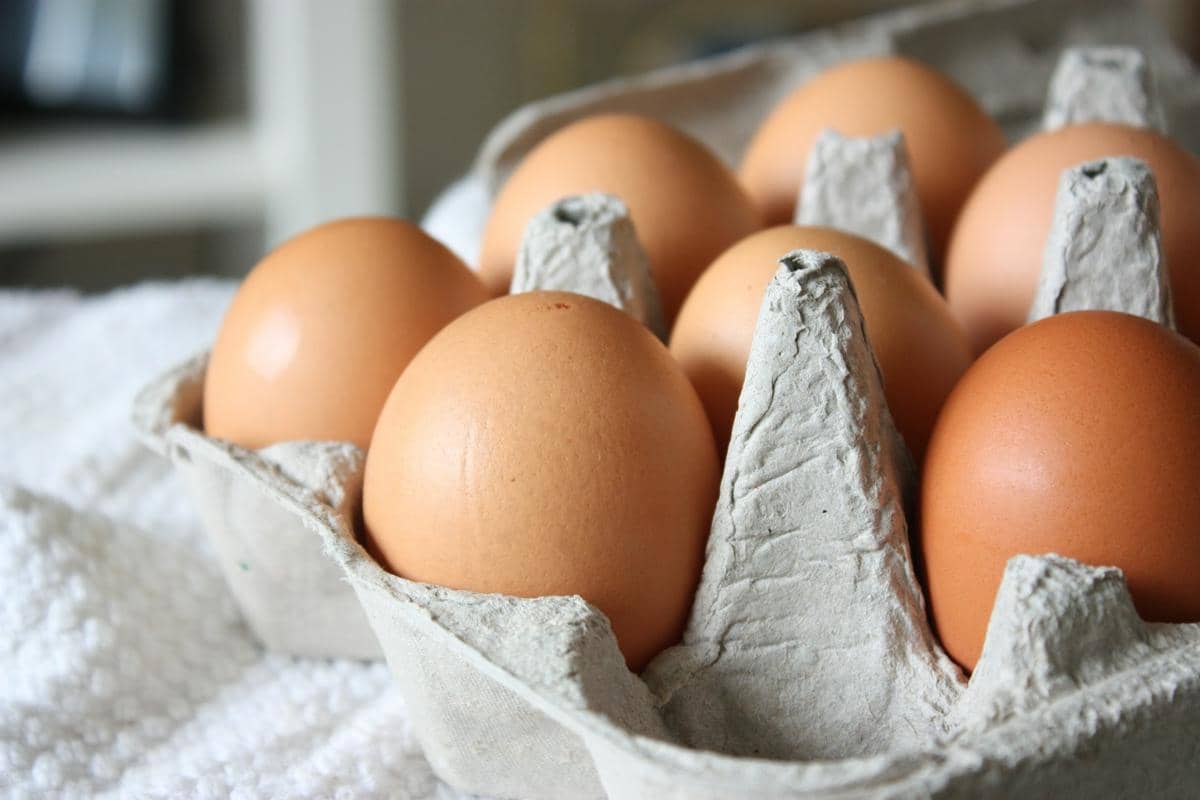 Peternak Menjerit, Telur Kini Wajib Hadir 3 Kali di MBG