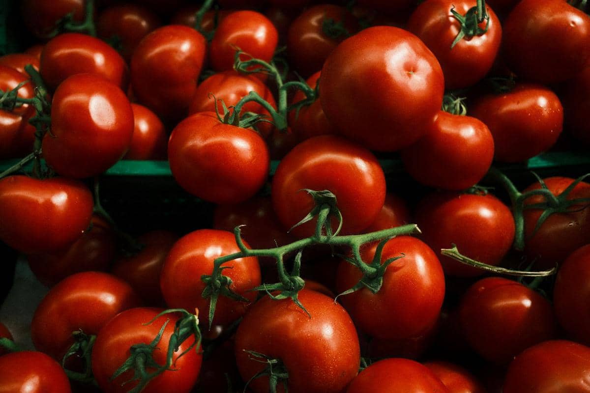 Tomat merah.