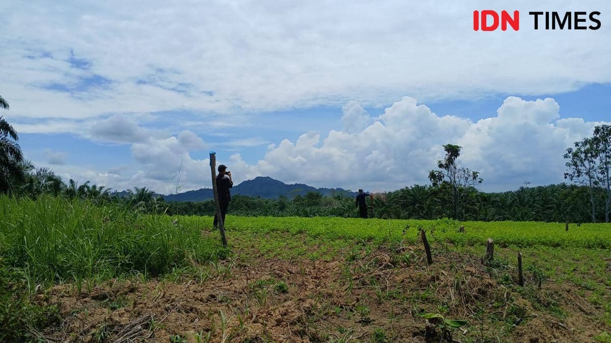 Wilayah pinggiran di Ibukota Nusantara, Jumat (29/5/2026). 