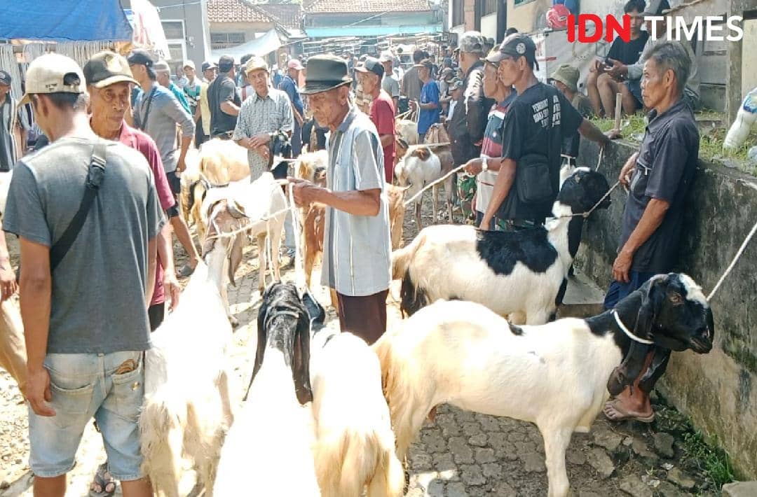 Ramai Jelang Iduladha, Pasar Hewan Ajibarang dan Ojek Banjir Rejeki