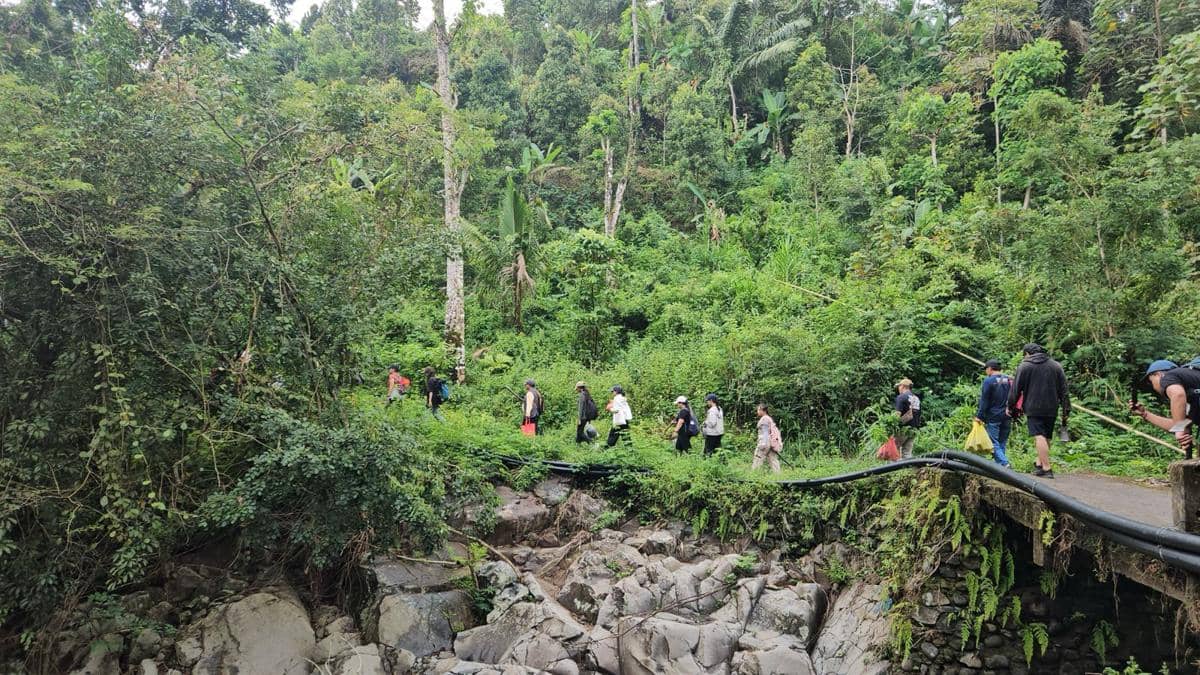 Hutan Sambangan Rusak Parah, Gerakan Tanam Pohon Dilakukan  