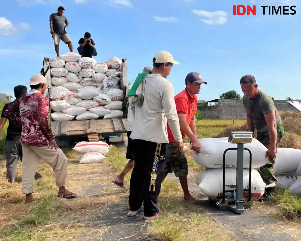 Dari Tangan Petani ke Labirin Putih Penjaga Perut Negeri