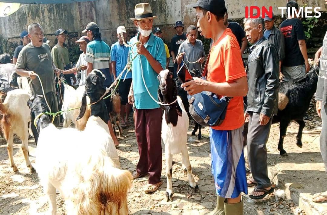 Suasana ramai di pasar hewan Ajibarang dengan para pedagang dan pembeli kambing menjelang Iduladha 2026.