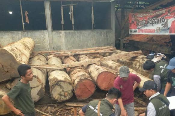 Ribuan Kayu Diduga Ilegal Disita, 5 Sawmill di Sumut Ditertibkan