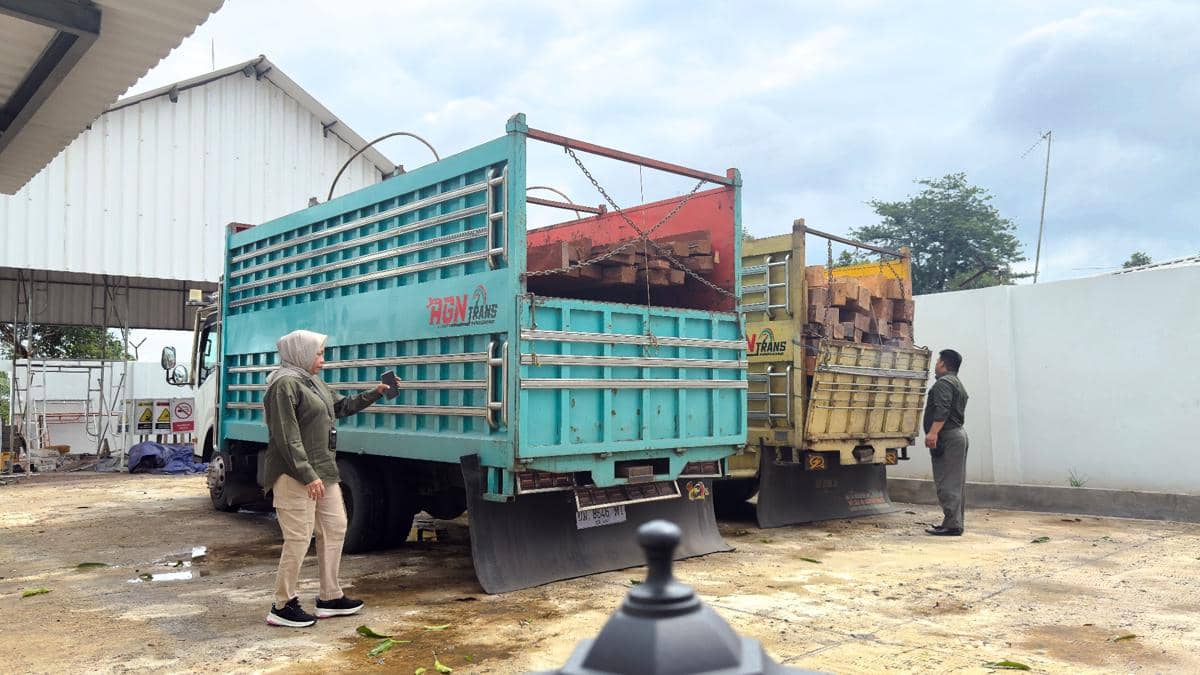 Gakkum Kehutanan Bongkar Peredaran Kayu Ilegal Lintas Provinsi di Sulawesi