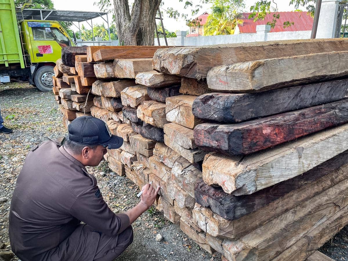 Balai Penegakan Hukum Kehutanan Wilayah Sulawesi menemukan pengangkutan kayu tanpa dokumen legalitas yang sah campuran dari Desa Beteleme, K