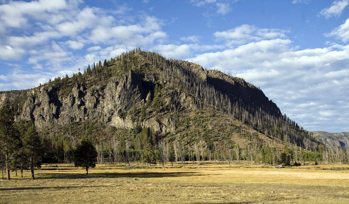 potret Yellowstone National Park