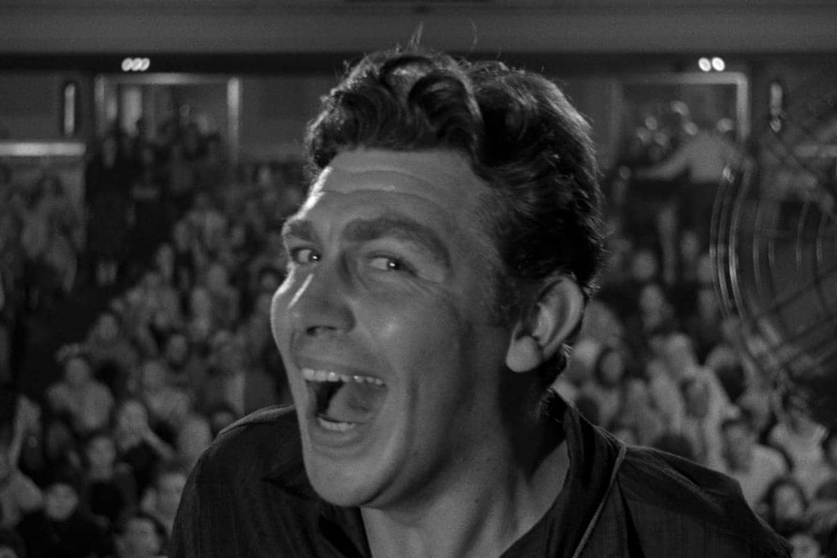 A Face in the Crowd