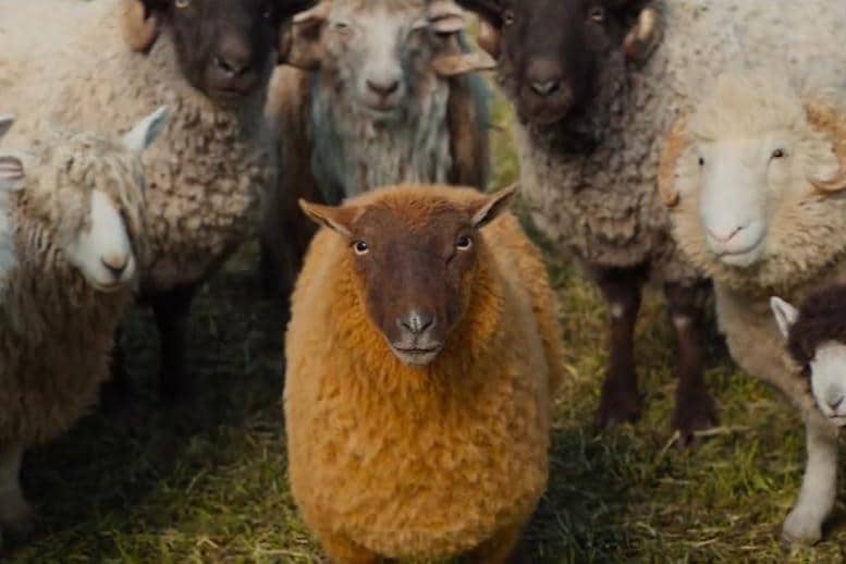 4 Film Detektif Ramah Anak Mirip The Sheep Detectives