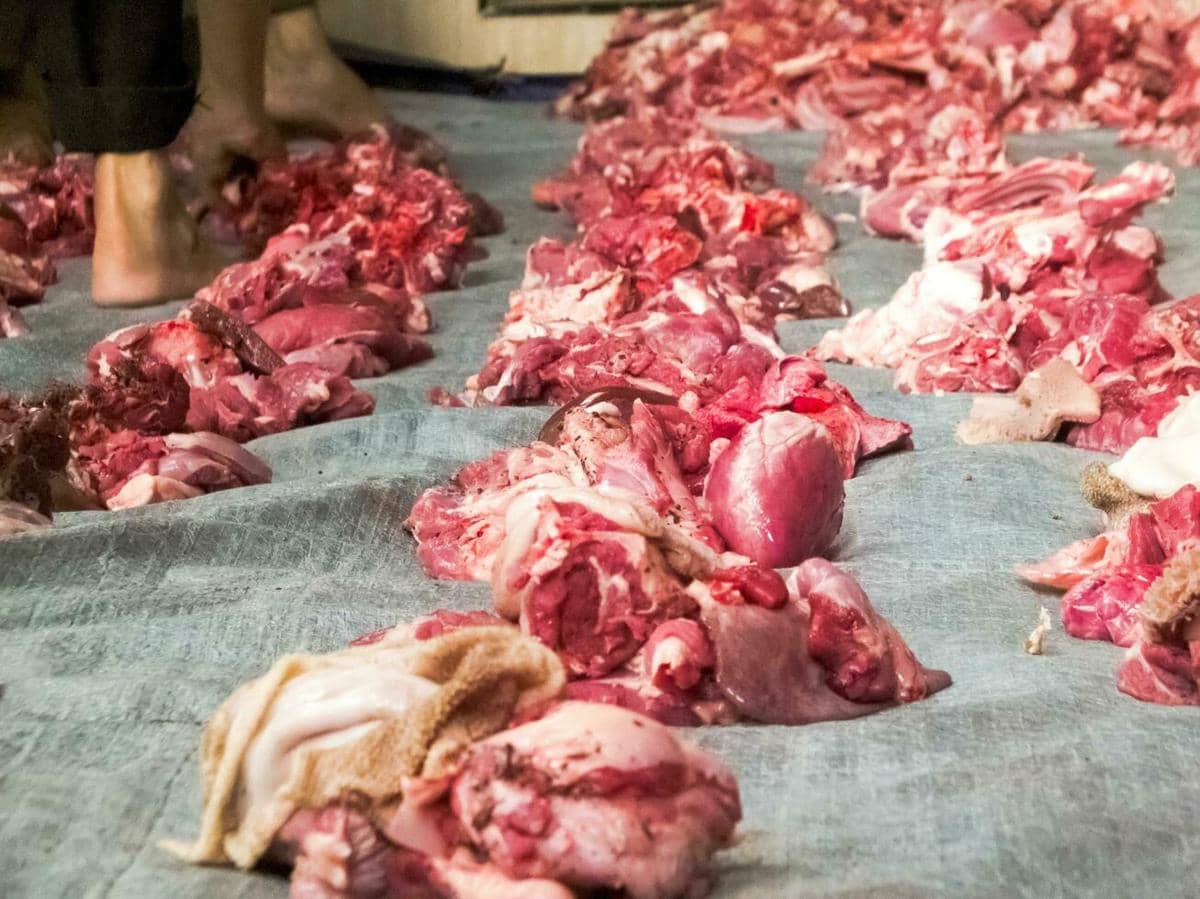 Nanas atau Pepaya, Mana yang Lebih Ampuh Empukkan Daging Kambing?