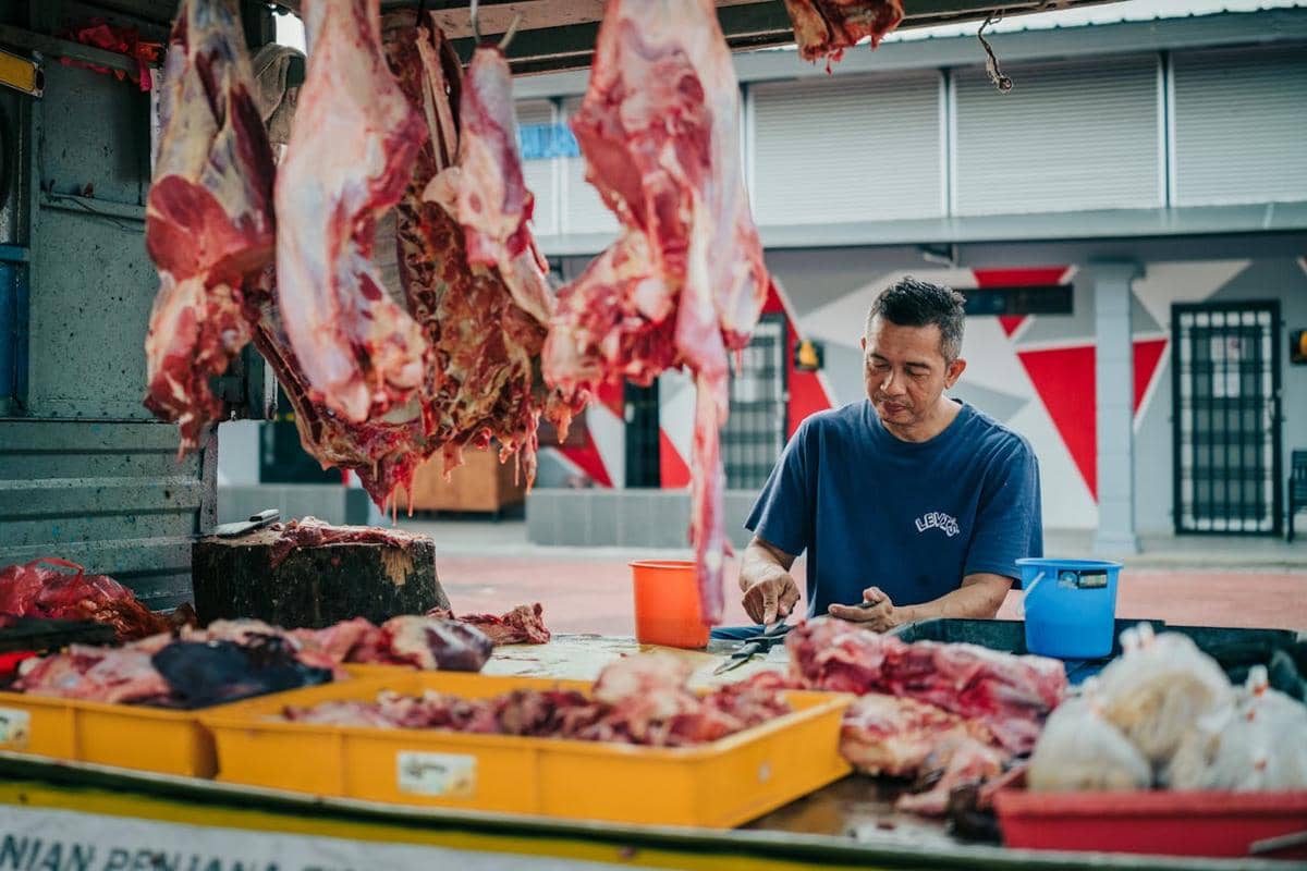 ilustrasi daging kambing