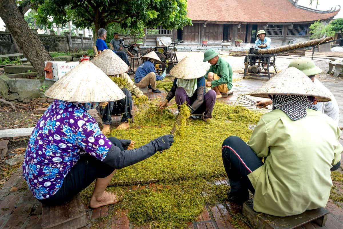 PPU Hilirisasisasi Rumput Laut, Produksi Tembus 9 Ribu Ton