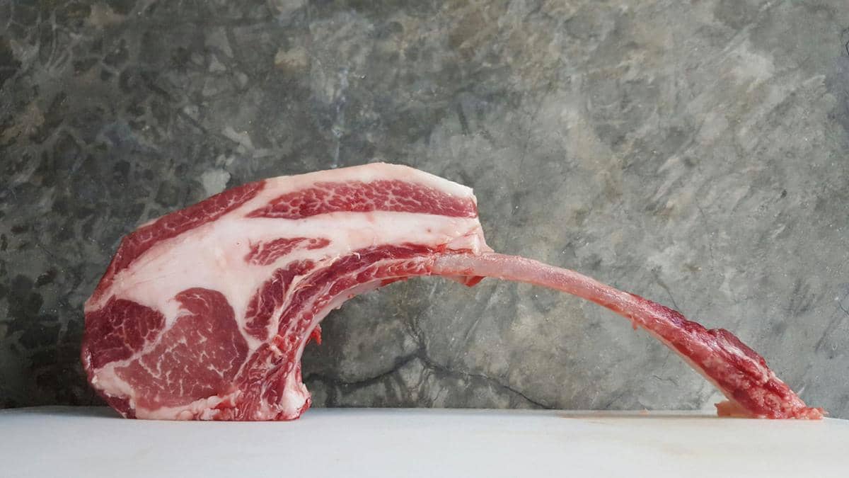 ilustrasi daging kambing 
